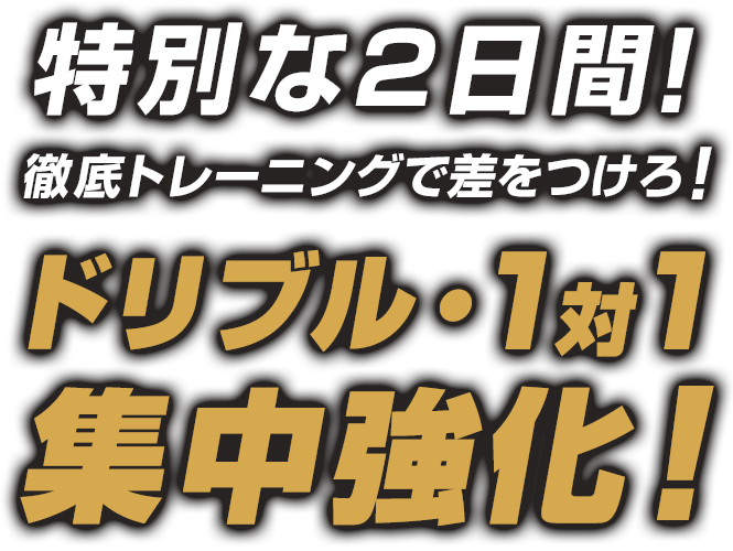 keyvisual_copy_01 特別な2日間!徹底トレーニングで差をつけろ!